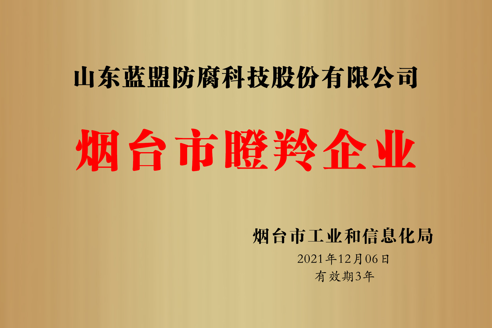 烟台市瞪羚企业