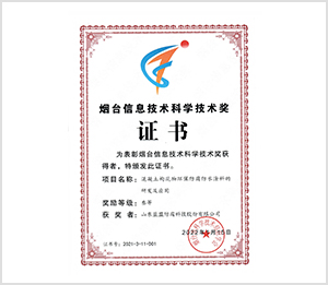 烟台信息技术科学技术奖