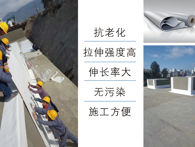 热塑性聚烯烃（TPO）防水卷材