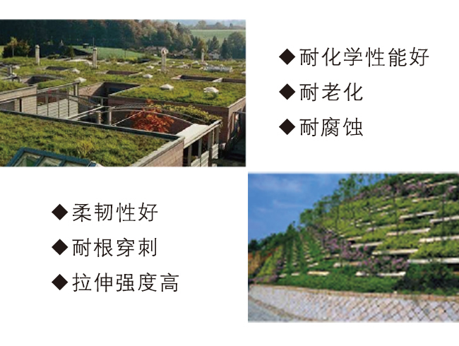 化学阻根（种植屋面）耐根穿刺防水卷材