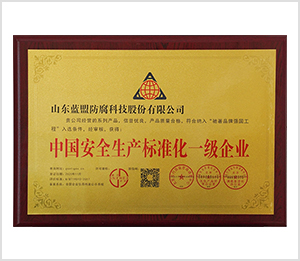 中国安全生产标准化一级企业